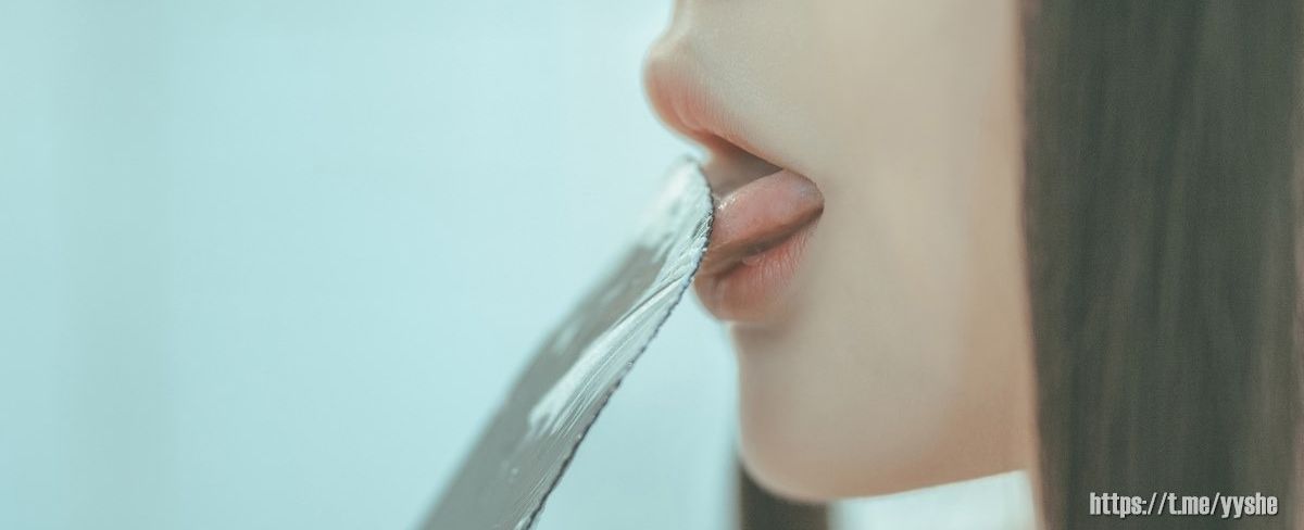 石纪元 动漫