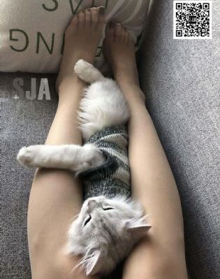 新婚公寓高清完整版在线观看