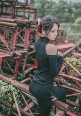 三妻四妾国语版第三部电视剧简介